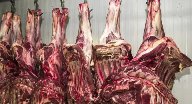 carnes em frigorífico