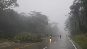 Névoa na CE-292, no Crato | Foto: Normando Sóracles/ Arquivo M1/Miséria