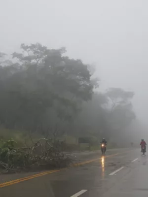 Névoa na CE-292, no Crato | Foto: Normando Sóracles/ Arquivo M1/Miséria