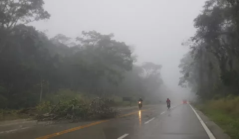 Névoa na CE-292, no Crato | Foto: Normando Sóracles/ Arquivo M1/Miséria