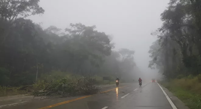 Névoa na CE-292, no Crato | Foto: Normando Sóracles/ Arquivo M1/Miséria