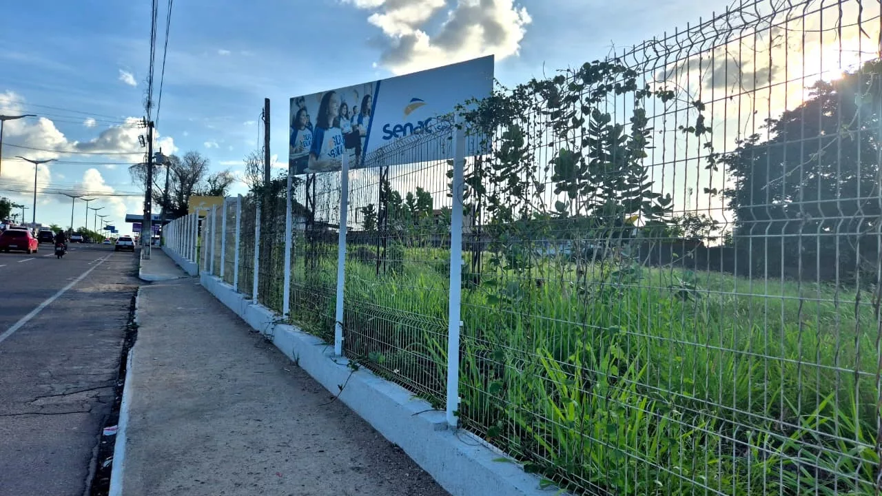 O projeto, que ocuparia um terreno de cerca de 400 m² nas proximidades do Teatro Marquise Branca
