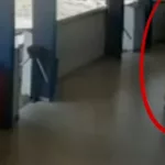 A suspeita é de nacionalidade argentina e não teve o nome divulgado.