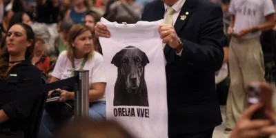 Justiça por Orelha: Governo Federal publica decreto aumenta valor de multas para casos de maus-tratos a animais