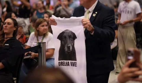 Justiça por Orelha: Governo Federal publica decreto aumenta valor de multas para casos de maus-tratos a animais