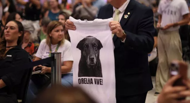 Justiça por Orelha: Governo Federal publica decreto aumenta valor de multas para casos de maus-tratos a animais