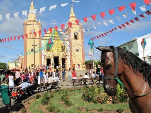 Festa do Pau da Bandeira de Barbalha