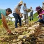 Curso vai funcionar no Centro Vocacional Técnico (CVTec) | Foto: Centec