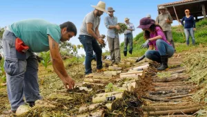 Curso vai funcionar no Centro Vocacional Técnico (CVTec) | Foto: Centec