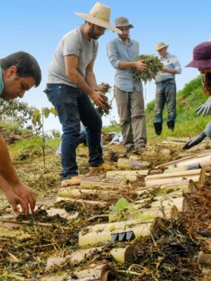 Curso vai funcionar no Centro Vocacional Técnico (CVTec) | Foto: Centec