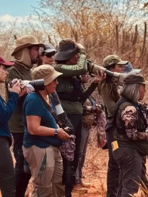 Pessoas durante encontro de observação de aves em Santana do Cariri.