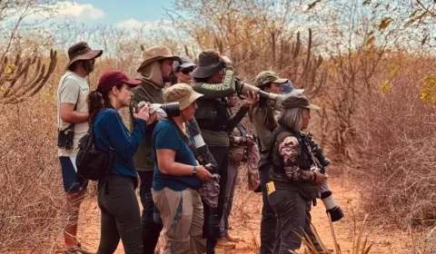 Pessoas durante encontro de observação de aves