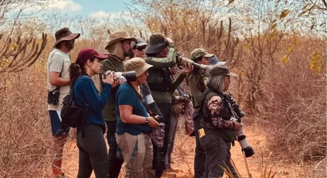 Pessoas durante encontro de observação de aves