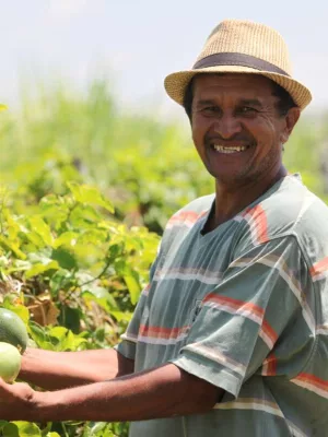 Cariri tem 28 municípios contemplados com o Garantia-Safra