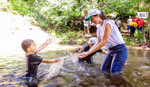 Pessoas durante a Festa Anual das Árvores de Várzea Alegre – edição 2026.