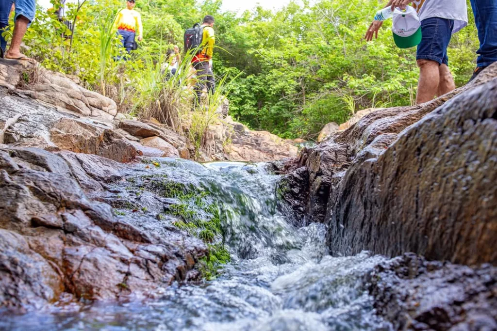 Pessoas durante a Festa Anual das Árvores de Várzea Alegre – edição 2026.