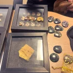 Fósseis e pedras semipreciosas apreendidas em operação da Polícia Federal (PF) no Cariri