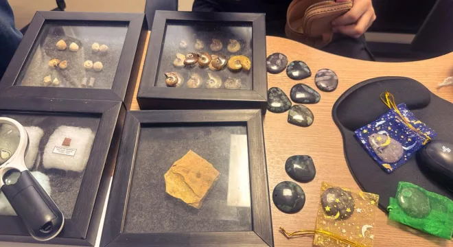 Fósseis e pedras semipreciosas apreendidas em operação da Polícia Federal (PF) no Cariri