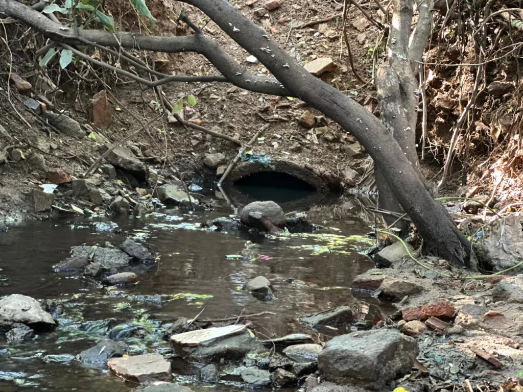 Rio salgadinho em juazeiro do norte