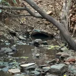 Rio salgadinho em juazeiro do norte