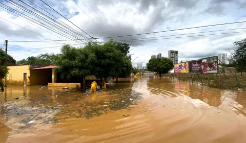 Alagamento, esgotamento sanitário, lixo, Lagoa da APUC.
