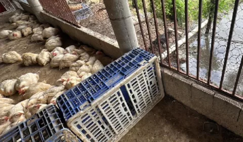 os locais apresentavam condições inadequadas de higiene e não possuíam estrutura física compatível com as exigências sanitárias