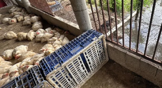 os locais apresentavam condições inadequadas de higiene e não possuíam estrutura física compatível com as exigências sanitárias