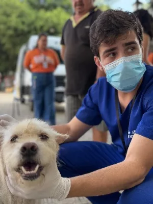 atendimento de cachorro durante vetmovel no crato