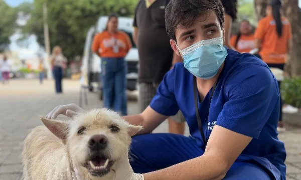 atendimento de cachorro durante vetmovel no crato