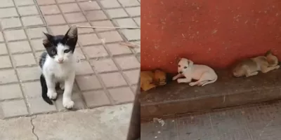 Os abandonos estariam ocorrendo em um corredor dentro do santuário, nas proximidades da Rua Monsenhor Esmeraldo | Foto: Reprodução/ Instagram