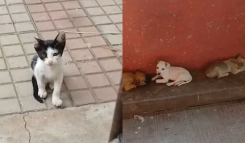 Os abandonos estariam ocorrendo em um corredor dentro do santuário, nas proximidades da Rua Monsenhor Esmeraldo | Foto: Reprodução/ Instagram