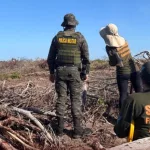 O Ceará foi o segundo estado com maior área fiscalizada, com 2.062,54 hectares | Foto: Semace