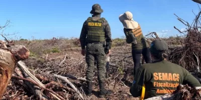 O Ceará foi o segundo estado com maior área fiscalizada, com 2.062,54 hectares | Foto: Semace