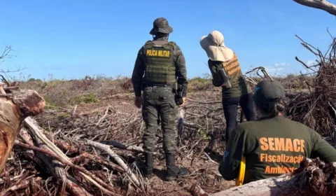 O Ceará foi o segundo estado com maior área fiscalizada, com 2.062,54 hectares | Foto: Semace