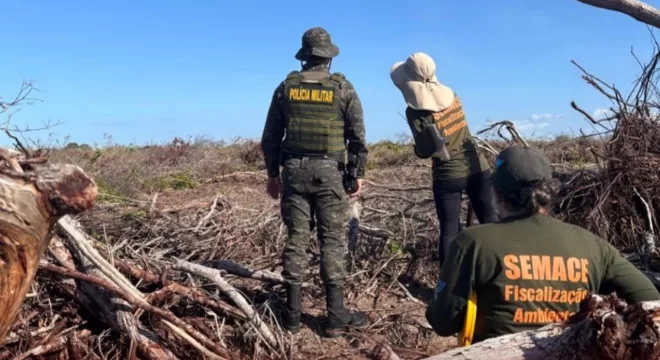 O Ceará foi o segundo estado com maior área fiscalizada, com 2.062,54 hectares | Foto: Semace