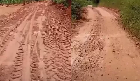 estrada do Sítio Pau D'Arco, em Missão Velha