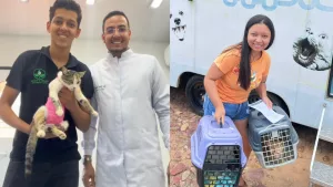 Castra Móvel de Missão Velha realiza cerca de 175 cirurgias por mês