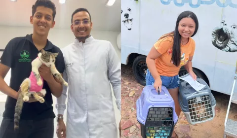 Castra Móvel de Missão Velha realiza cerca de 175 cirurgias por mês