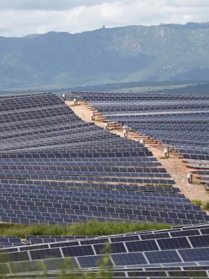 A produção anual estimada do complexo é de cerca de 539 mil MWh.