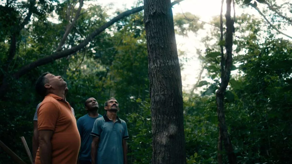 registro de gravações do filme o cio da terra, que documenta a festa do pau da bandeira, em barbalha