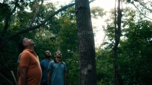 registro de gravações do filme o cio da terra, que documenta a festa do pau da bandeira, em barbalha