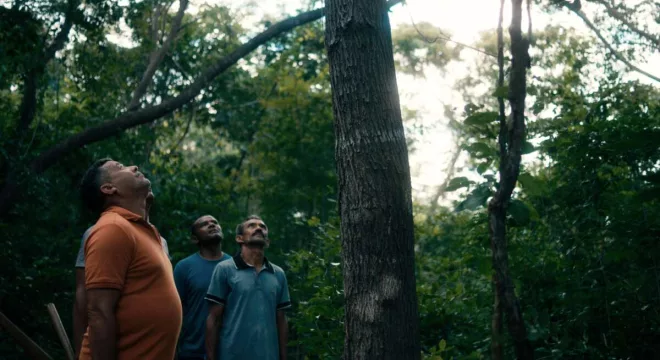 registro de gravações do filme o cio da terra, que documenta a festa do pau da bandeira, em barbalha