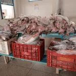 peixes distribuidos juazeiro do norte