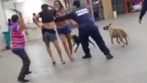 O caso ganhou repercussão após um vídeo que mostra os policiais intervindo numa briga entre um homem e uma mulher com o uso de golpes de cassetete.
