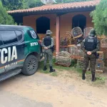 operação de resgate de aves silvestres em crato